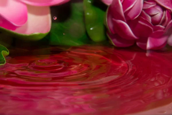 Detalle Una Gota Roja — Foto de Stock