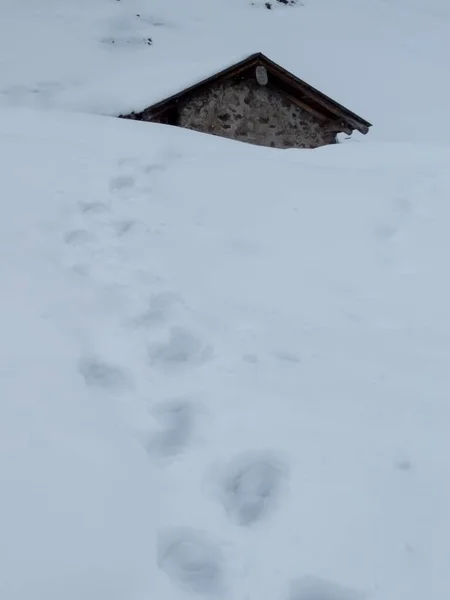 Neve Branca Fresca Uma Montanha — Fotografia de Stock