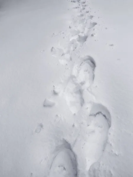 Neve Branca Fresca Uma Montanha — Fotografia de Stock