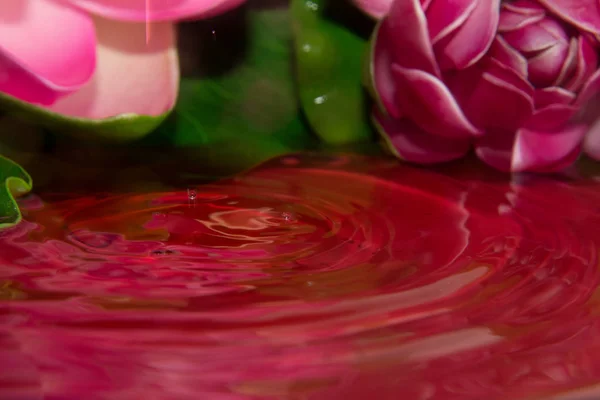 Detalle Una Gota Roja — Foto de Stock