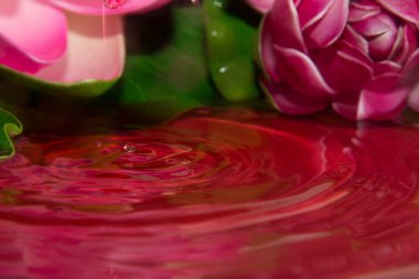 kırmızı bir damla detay