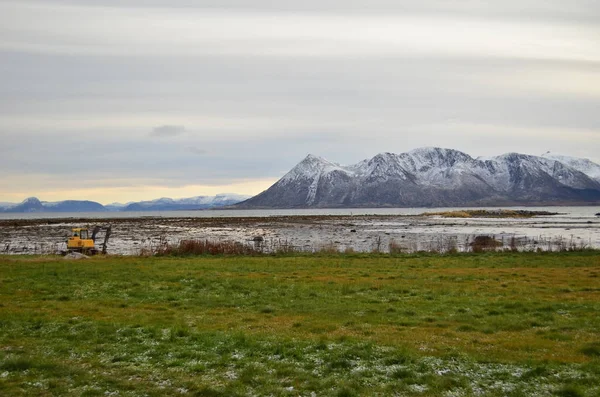 Deniz kıyısında bazı bakım işleri.