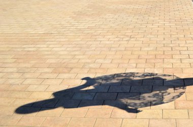 Dancing girl shadow on the bricks