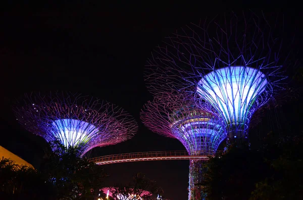 Сингапур 2016 Ночные Деревья Сингапурском Саду Залива — стоковое фото
