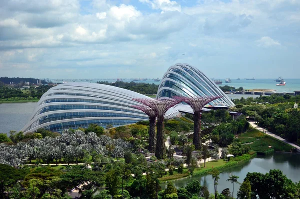 Сингапур 2016 Сады Залива Цветочный Купол Облачный Лес — стоковое фото