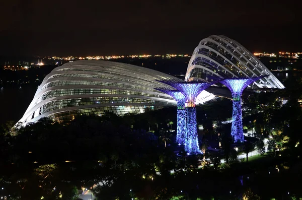 Сингапур 2016 Сады Залива Ночью Вид Цветочный Купол Облачный Лес — стоковое фото