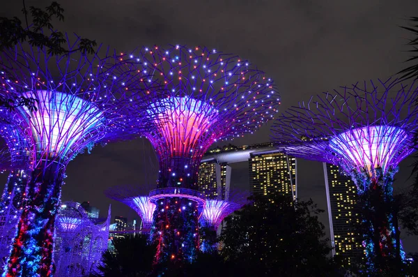 Сингапур 2016 Сады Залива Ночью Supertree Marina Bay Sands — стоковое фото
