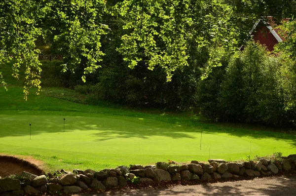 Rumput Rumput Disiapkan Untuk Golf Pada Hari Hujan — Stok Foto