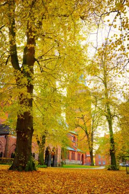 Lubeck Katedrali, Almanya'da sonbahar