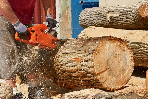 Chainsaw profesjonalne cięcia kłód drewna — Zdjęcie stockowe