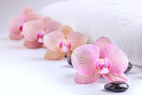 Orchidées et pierres de spa sur serviette blanche — Photo