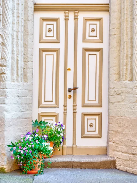 Entrance door in front of house — Stock Photo, Image