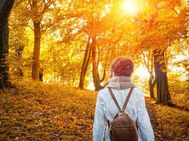 Sarı Park'ta yürüyordunuz sonbahar