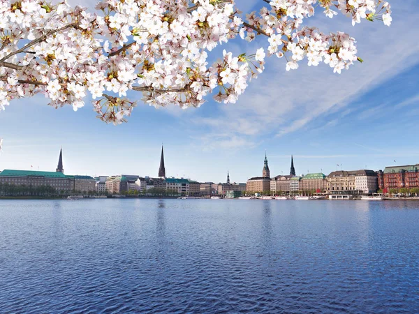 湖与喷泉, 汉堡的中心在春天 — 图库照片