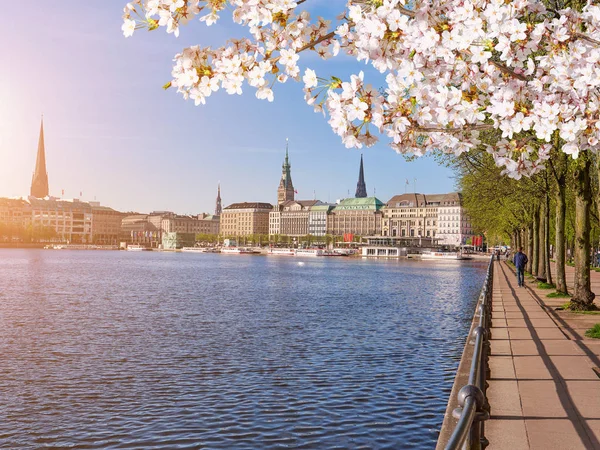 Embankment lungo il lago, centro di Amburgo in primavera — Foto Stock