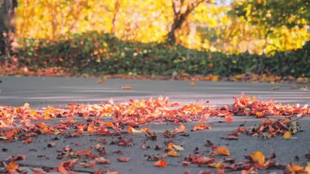 Samochód jadący szybko po pustej drodze nad żółtymi liśćmi w parku. — Wideo stockowe