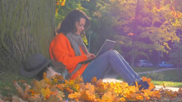 Gyönyörű nő dolgozik laptop őszi parkban — Stock videók