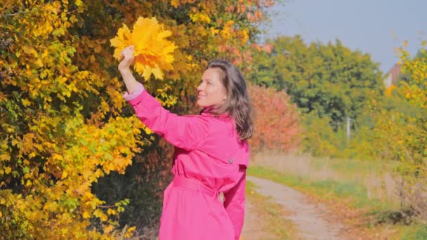 Ritratto di giovane donna allegra con foglie autunnali nel parco — Video Stock