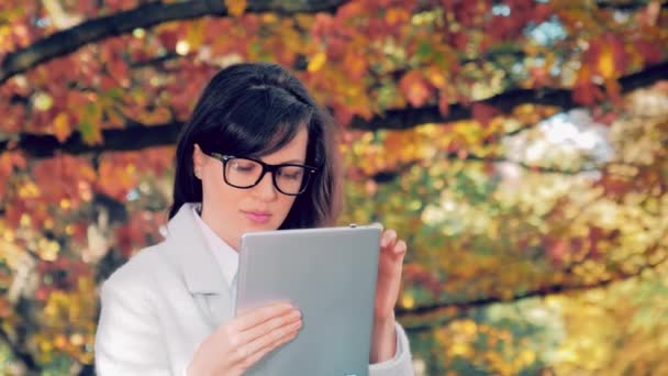 Sonbahar parkındaki iş kadını tabletiyle çalışıyor. — Stok video