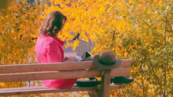 Frau auf Bank im Herbstpark arbeitet mit Laptop — Stockvideo