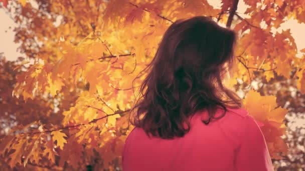 Portrait of cheerful young woman looking at camera with autumn leafs — Stock Video