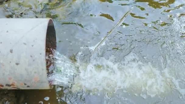 Tubo di scolo, fognature rilasciano acque reflue nel fiume, acqua che è stata utilizzata — Video Stock