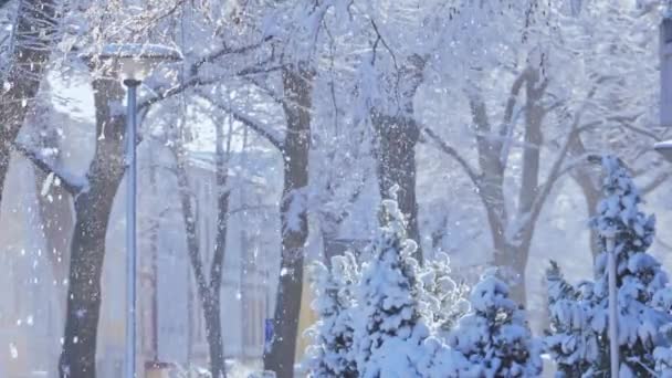 冬の明るい背景。雪のドリフトとクリスマスの街の風景 — ストック動画