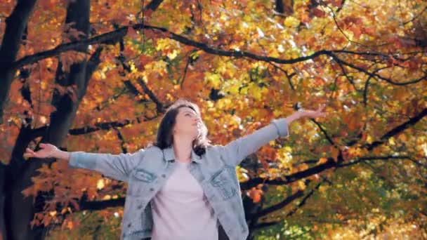 Portret van een romantische gelukkige mooie vrouw in het park, herfst blad vallen — Stockvideo