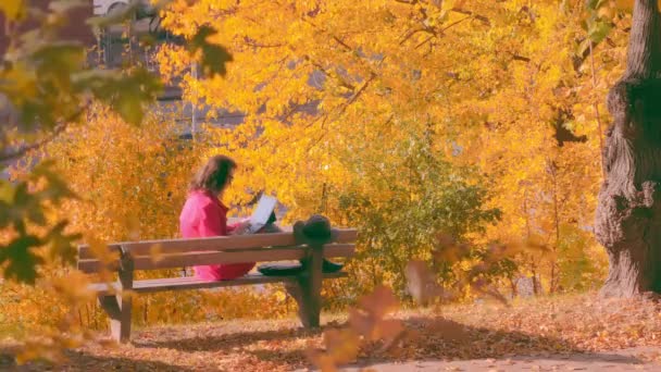 Kvinna sitter på en bänk i höstparken och arbetar med bärbar dator — Stockvideo