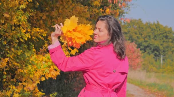 Portrait of cheerful young woman with autumn leafs, enjoying autumn time — Stock Video