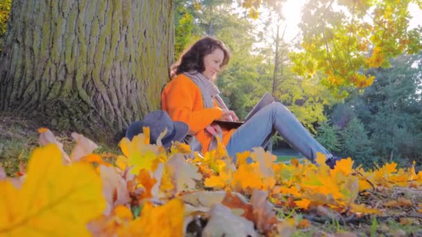 Hermosa mujer trabajando con el ordenador portátil, disfrutando del parque de otoño — Vídeo de stock