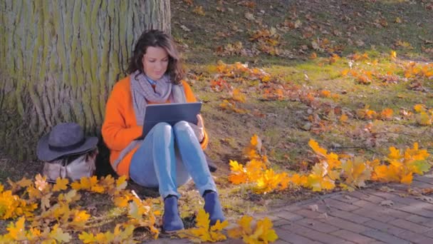 Gyönyörű nő dolgozik laptop Fall park — Stock videók