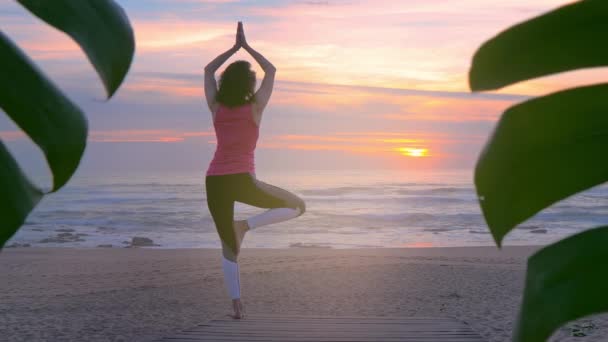 Mujer haciendo yoga en pasarela de madera al atardecer de verano — Vídeos de Stock