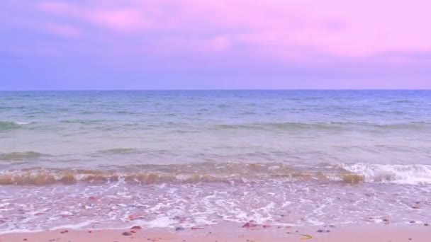 Beach in sunset time, Baltic Sea — Stock Video