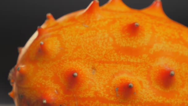 African horned melon closeup rotating on gray background — Stock Video