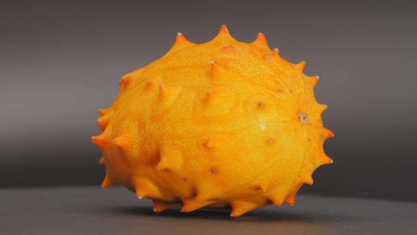 African horned melon rotating on gray background — Stock Video