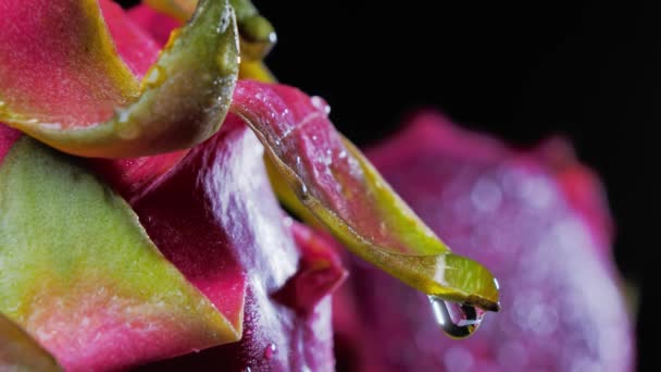 Мокрые спелые Pitahaya, Вода капает на поверхность dragonfruit — стоковое видео