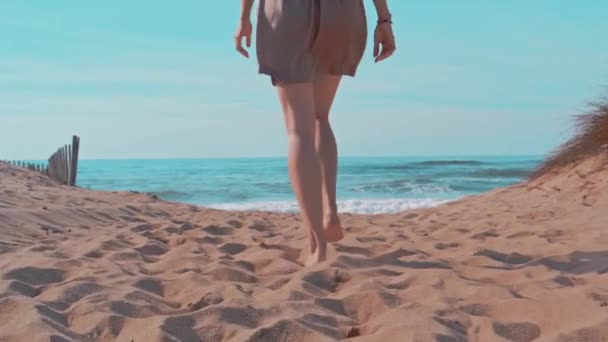 度假期间步行到夏季海滩的妇女 — 图库视频影像