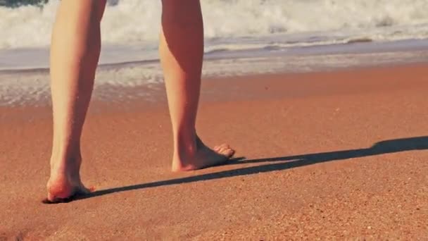 Plaj seyahat - kumda ayak izleri bırakarak kum plajı üzerinde yürüyen kadın — Stok video