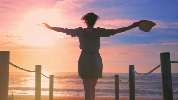 Mooie vrouw in jurk op een houten voet brug op het strand — Stockvideo