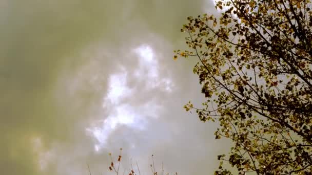 業界からの大気汚染。毒性の雲 — ストック動画