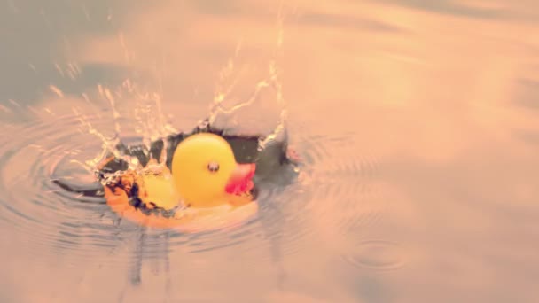 Yellow rubber duck toy falls in water, drops splatter — Stock Video