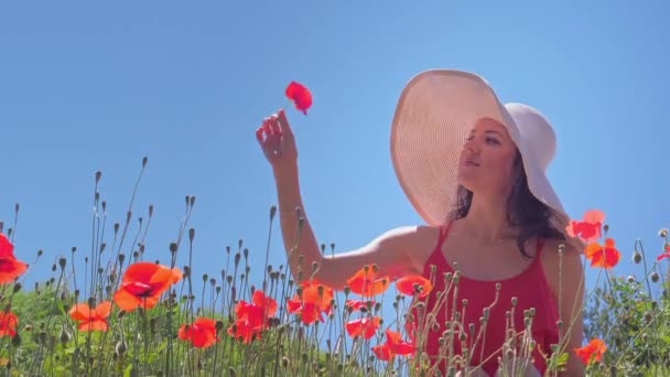 Mulher feliz em vestido vermelho no campo de flores Poppy no verão, céu azul — Vídeo de Stock