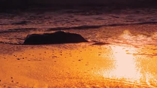 Prachtige zonsondergang op strand, goudkleurig zand — Stockvideo