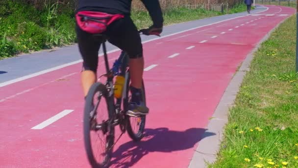 Strada pedonale, ciclista su un passaggio pedonale per ciclisti e pedoni — Video Stock