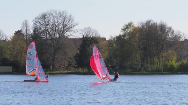 Velero regata carrera con colorido spinnaker navega por la mañana . — Vídeo de stock