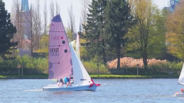 Sailboat regatta race with colorful spinnaker sails up — Stock Video