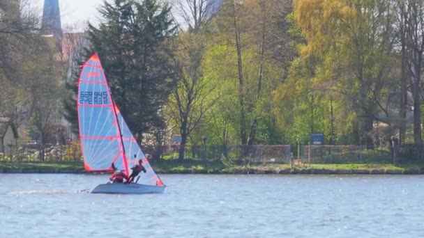 Sailboat regatta race with colorful spinnaker sails up on sunny morning. — Stock Video