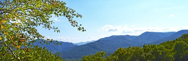 Montagnes Vertes Ciel Bleu Beau Paysage Été Avec Des Collines — Photo