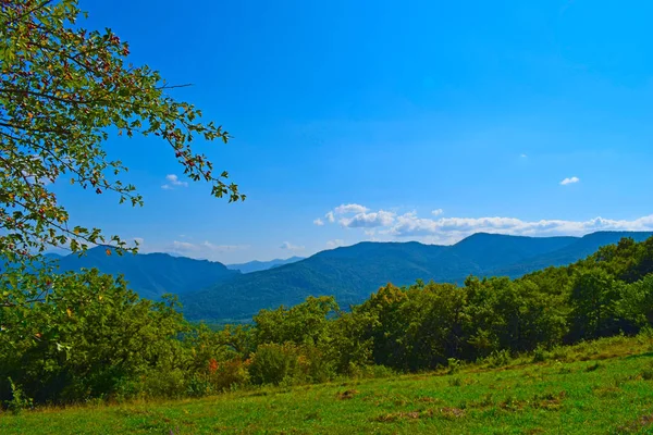 緑の山々と青空 多層の丘や森と美しい夏の風景 前景には軍艦の枝がある 横写真 主なコーカサス山脈 アジヤ ロシア — ストック写真